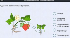 Интерактивные курсы. Биология 7 класс. Расширенный. - fgospostavki.ru - Дмитров