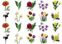 Комплект карточек "Запоминай, играй, считай" - Цветы - fgospostavki.ru - Дмитров