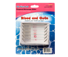 Набор микропрепаратов для микроскопа №1 «Человек» - fgospostavki.ru - Дмитров