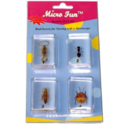 Набор микропрепаратов для стереомикроскопа №14 «Насекомые» - fgospostavki.ru - Дмитров