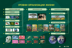 Электрифицированный стенд "Уровни организации жизни" - fgospostavki.ru - Дмитров