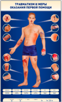Электрифицированный стенд-тренажер "Травматизм и меры оказания первой помощи" - fgospostavki.ru - Дмитров