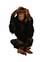 Комплект карточек "Запоминай, играй, считай" - Дикие животные - fgospostavki.ru - Дмитров