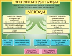 Стенд "Методы селекции и биотехнологии" - fgospostavki.ru - Дмитров