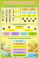 Стенд "Классификация животного мира" - fgospostavki.ru - Дмитров