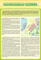 Стенд "Биосинтез белка" - fgospostavki.ru - Дмитров