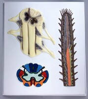 Модель барельефная "Строение спинного мозга" - fgospostavki.ru - Дмитров