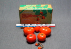 Набор муляжей "Дикая форма и культурные сорта томатов" - fgospostavki.ru - Дмитров