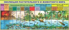 Стенд "Эволюция растительного и животного мира" - fgospostavki.ru - Дмитров