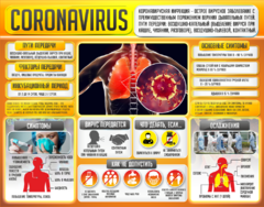 Плакат "Коронавирус" (вариант 2) - fgospostavki.ru - Дмитров