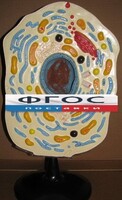 Модель "Клетка животного" - fgospostavki.ru - Дмитров