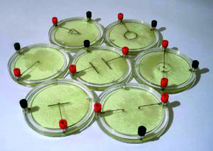 Демонстрационный комплект «Силовые линии электрического поля разных систем зарядов» - fgospostavki.ru - Дмитров