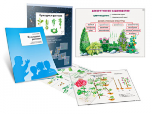 Комплект кодотранспарантов "Культурные растения" - fgospostavki.ru - Дмитров