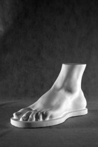 Стопа Геракла (гипс) - fgospostavki.ru - Дмитров