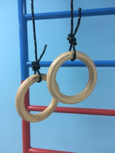 Кольца навесные для детского спортивного комплекса (диаметр 16 сантиметров, фанера) - fgospostavki.ru - Дмитров