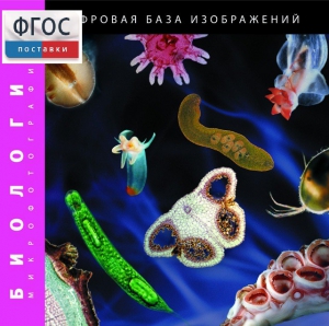 Биология. Микрофотографии. (Цифровая база изображений) - fgospostavki.ru - Дмитров