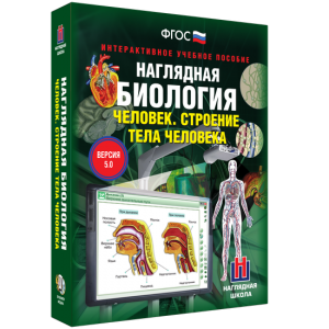 Наглядная биология. 8 - 9 классы. Человек. Строение тела человека - fgospostavki.ru - Дмитров