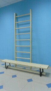 Стенка гимнастическая шведская премиум (1000х3200 мм) - fgospostavki.ru - Дмитров