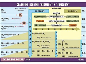 Таблица демонстрационная "Сравнение понятий изомер и гомолог" (винил 100x140) - fgospostavki.ru - Дмитров