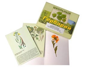 Гербарий "Систематика растений. Семейство Пасленовые. Крестоцветные. Сложноцветные" (раздаточный) - fgospostavki.ru - Дмитров