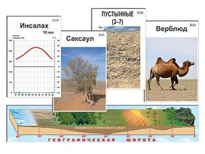 Модель-аппликация "Природные зоны" - fgospostavki.ru - Дмитров