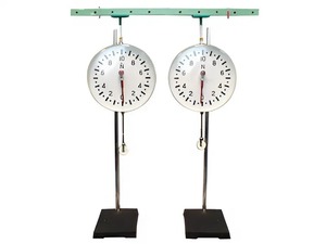 Динамометр демонстрационный (пара) - fgospostavki.ru - Дмитров