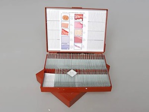 Комплект микропрепаратов "Анатомия" - fgospostavki.ru - Дмитров