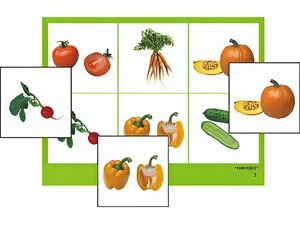 Логопедическое лото "Овощи" (4 планшета, 24 карточки, цветное, ламинированное) - fgospostavki.ru - Дмитров