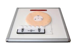 Комплекс "Изучение зубьев" - fgospostavki.ru - Дмитров