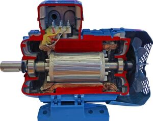 Учебная модель «Электродвигатель асинхронный в разрезе» - fgospostavki.ru - Дмитров