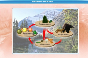 Интерактивные курсы. Биология 7 класс. Базовый. - fgospostavki.ru - Дмитров