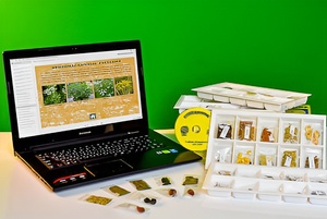 Коллекция натурально-интерактивная "Плоды сельскохозяйственных растений" - fgospostavki.ru - Дмитров