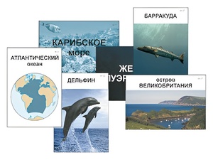 Модель-аппликация "Океаны. Знакомство" (ламинированная) - fgospostavki.ru - Дмитров