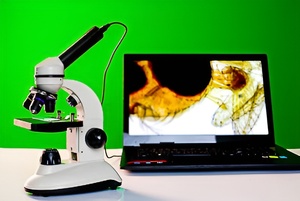 Микроскоп школьный с цифровой камерой - fgospostavki.ru - Дмитров