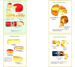 Плакаты ПРОФТЕХ "Ассортимент сыров" (9 пл, винил, 70х100) - fgospostavki.ru - Дмитров