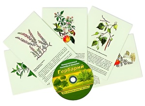 Интерактивный наглядный комплекс "Гербарий "Для начальной школы" - fgospostavki.ru - Дмитров