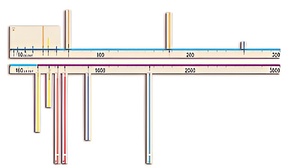 Модель-аппликация "Расстояния во Вселенной" - fgospostavki.ru - Дмитров