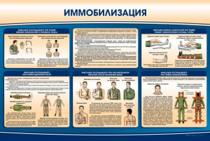 Стенд "Иммобилизация" - fgospostavki.ru - Дмитров