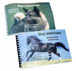 Пособие для слабовидящих - Домашние животные - fgospostavki.ru - Дмитров