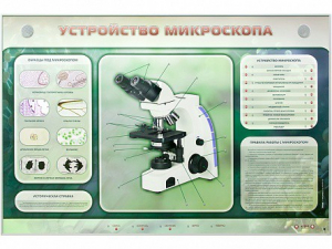Электрифицированный стенд "Устройство микроскопа и правила работы c ним" - fgospostavki.ru - Дмитров