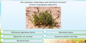 Интерактивные курсы. Окружающий мир 3 класс . Базовый. - fgospostavki.ru - Дмитров