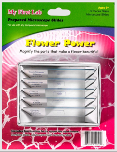 Набор микропрепаратов для микроскопа №6 «Цветы» - fgospostavki.ru - Дмитров