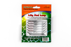 Набор микропрепаратов для микроскопа №7 «Лягушка» - fgospostavki.ru - Дмитров