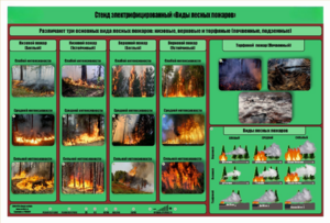 Стенд-планшет электрифицированный «Виды лесных пожаров»  - fgospostavki.ru - Дмитров
