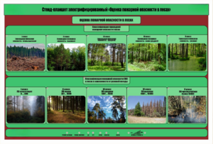 Стенд-планшет электрифицированный «Оценка пожарной опасности в лесах»  - fgospostavki.ru - Дмитров