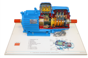 Стенд-планшет «Асинхронный двигатель с фазным ротором» - fgospostavki.ru - Дмитров