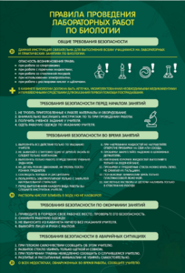 Стенд "Правила выполнения лабораторных работ по биологии" Вариант 1 - fgospostavki.ru - Дмитров