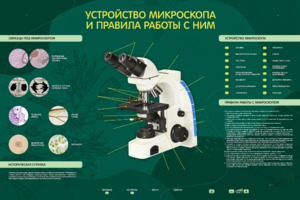 Электрифицированный стенд "Устройство микроскопа и правила работы c ним" - fgospostavki.ru - Дмитров