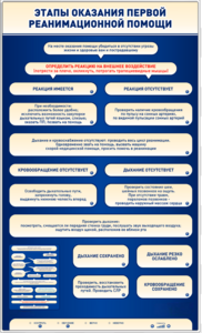 Электрифицированный стенд-тренажер "Этапы оказания первой реанимационной помощи" - fgospostavki.ru - Дмитров