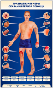 Электрифицированный стенд-тренажер "Травматизм и меры оказания первой помощи" - fgospostavki.ru - Дмитров